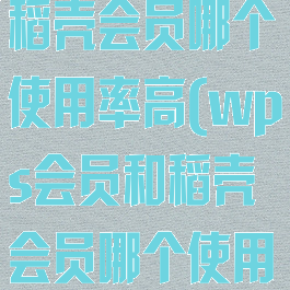 wps会员和稻壳会员哪个使用率高(wps会员和稻壳会员哪个使用率高)