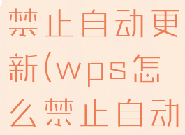 wps怎么禁止自动更新(wps怎么禁止自动更新页面)