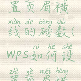 wps怎么设置页眉横线的磅数(wps如何设置页眉横线的宽度)