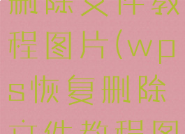 wps恢复删除文件教程图片(wps恢复删除文件教程图片不见了)