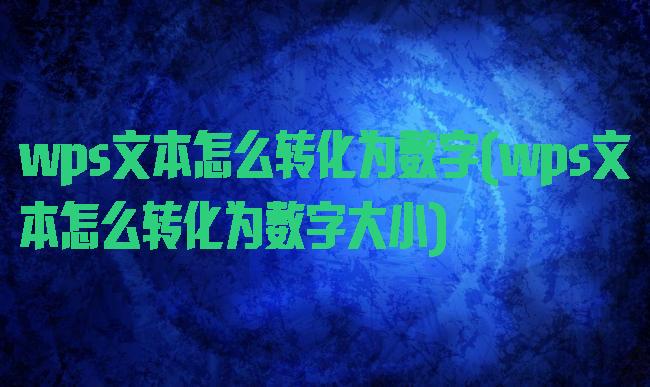 wps文本怎么转化为数字(wps文本怎么转化为数字大小)