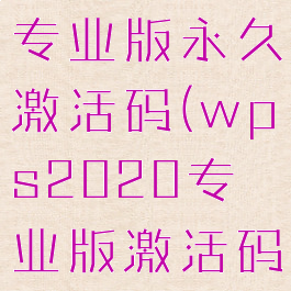 wps2019专业版永久激活码(wps2020专业版激活码)
