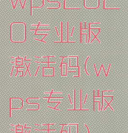 wps2020专业版激活码(wps专业版激活码)