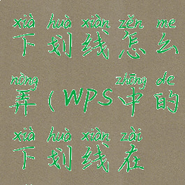 wpsoffice的下划线怎么弄(wps中的下划线在哪)