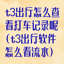 t3出行怎么查看打车记录呢(t3出行软件怎么看流水)