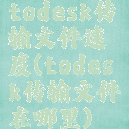 todesk传输文件速度(todesk传输文件在哪里)