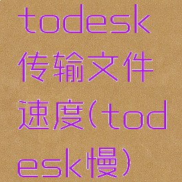 todesk传输文件速度(todesk慢)