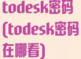 todesk密码(todesk密码在哪看)