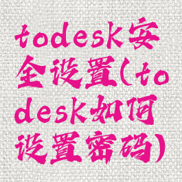 todesk安全设置(todesk如何设置密码)