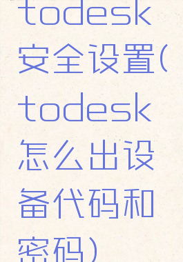 todesk安全设置(todesk怎么出设备代码和密码)