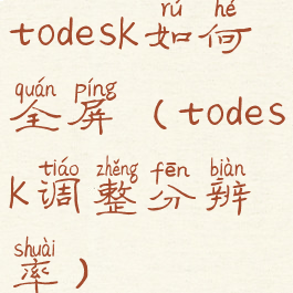 todesk如何全屏(todesk调整分辨率)