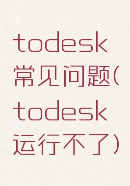 todesk常见问题(todesk运行不了)
