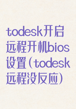todesk开启远程开机bios设置(todesk远程没反应)
