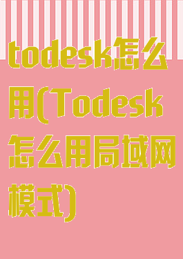 todesk怎么用(Todesk怎么用局域网模式)