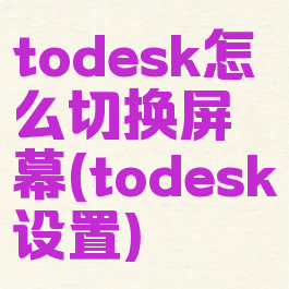 todesk怎么切换屏幕(todesk设置)