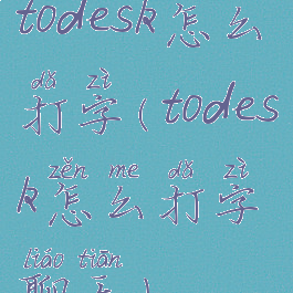 todesk怎么打字(todesk怎么打字聊天)