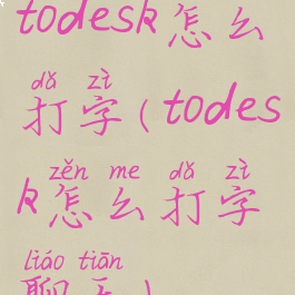 todesk怎么打字(todesk怎么打字聊天)
