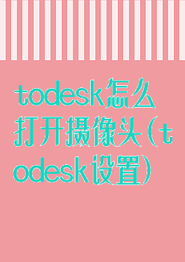 todesk怎么打开摄像头(todesk设置)
