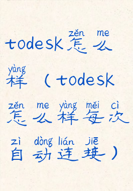 todesk怎么样(todesk怎么样每次自动连接)