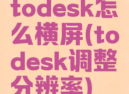 todesk怎么横屏(todesk调整分辨率)