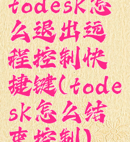 todesk怎么退出远程控制快捷键(todesk怎么结束控制)