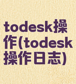todesk操作(todesk操作日志)