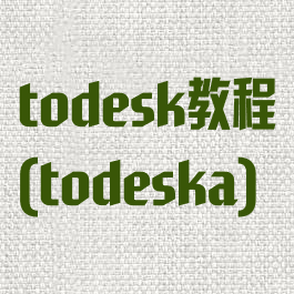 todesk教程(todeska)