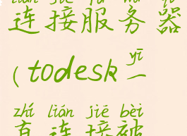 todesk无法连接服务器(todesk一直连接被断开)