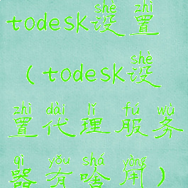 todesk设置(todesk设置代理服务器有啥用)