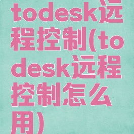 todesk远程控制(todesk远程控制怎么用)