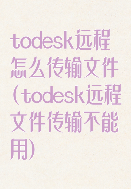 todesk远程怎么传输文件(todesk远程文件传输不能用)