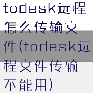 todesk远程怎么传输文件(todesk远程文件传输不能用)