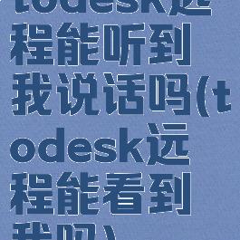 todesk远程能听到我说话吗(todesk远程能看到我吗)
