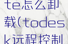 todesklite怎么卸载(todesk远程控制怎么卸载)