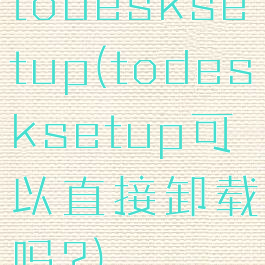 todesksetup(todesksetup可以直接卸载吗?)