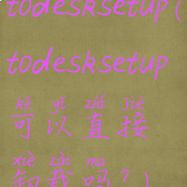 todesksetup(todesksetup可以直接卸载吗?)