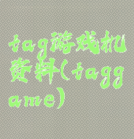 tag游戏机资料(taggame)