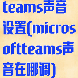 teams声音设置(microsoftteams声音在哪调)