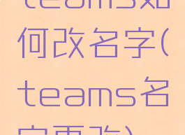 teams如何改名字(teams名字更改)