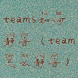 teams如何静音(team怎么静音)