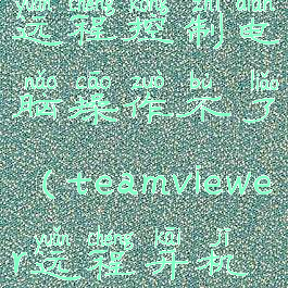 teamviewer远程控制电脑操作不了(teamviewer远程开机没反应)
