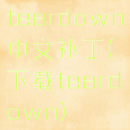 teardown中文补丁(下载teardown)