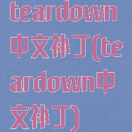 teardown中文补丁(teardown中文补丁)