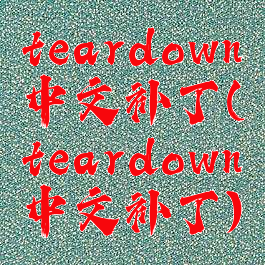 teardown中文补丁(teardown中文补丁)