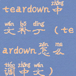 teardown中文补丁(teardown怎么调中文)