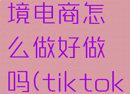 tiktok跨境电商怎么做好做吗(tiktok做外贸)