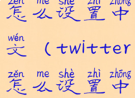 twitterapp怎么设置中文(twitter怎么设置中文界面)