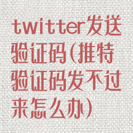 twitter发送验证码(推特验证码发不过来怎么办)