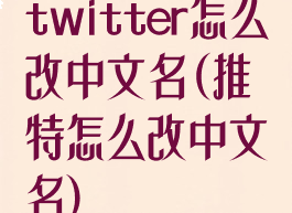 twitter怎么改中文名(推特怎么改中文名)