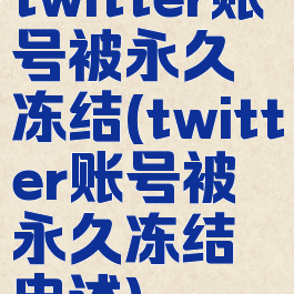 twitter账号被永久冻结(twitter账号被永久冻结申述)